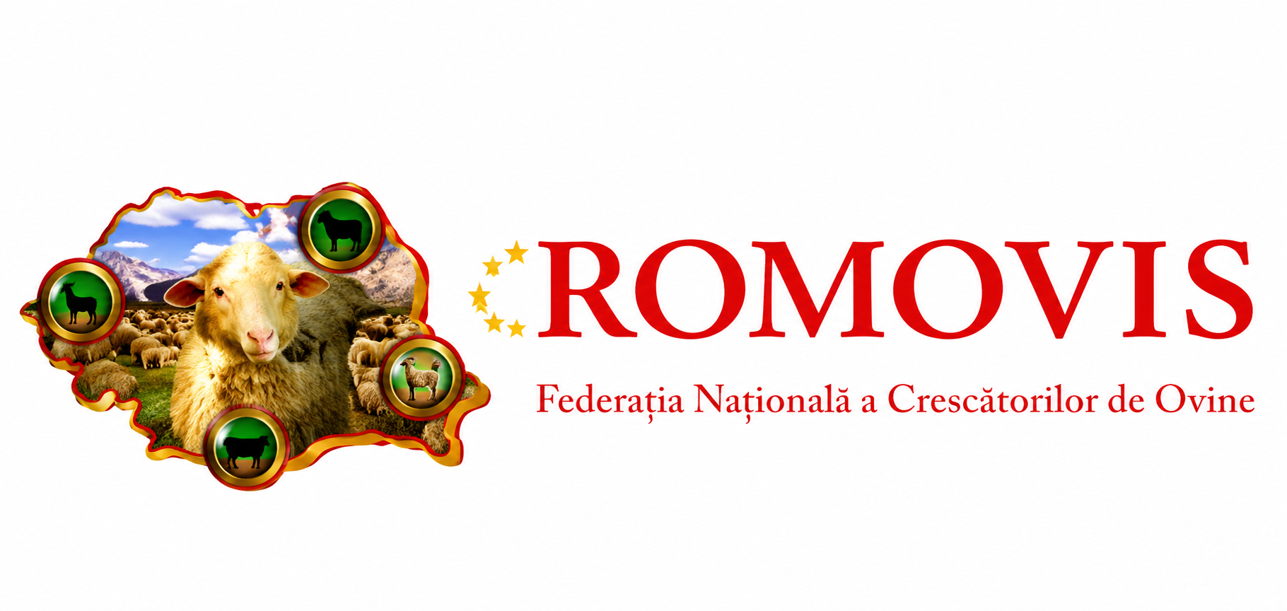 ROMOVIS revine cu solicitări urgente către Guvern: crescătorii de ovine cer măsuri concrete pentru salvarea sectorului | AVALW News